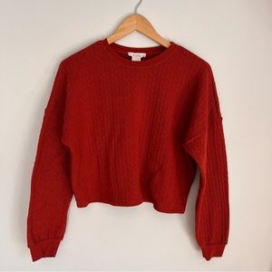 Rust-Colored Cropped Sweater